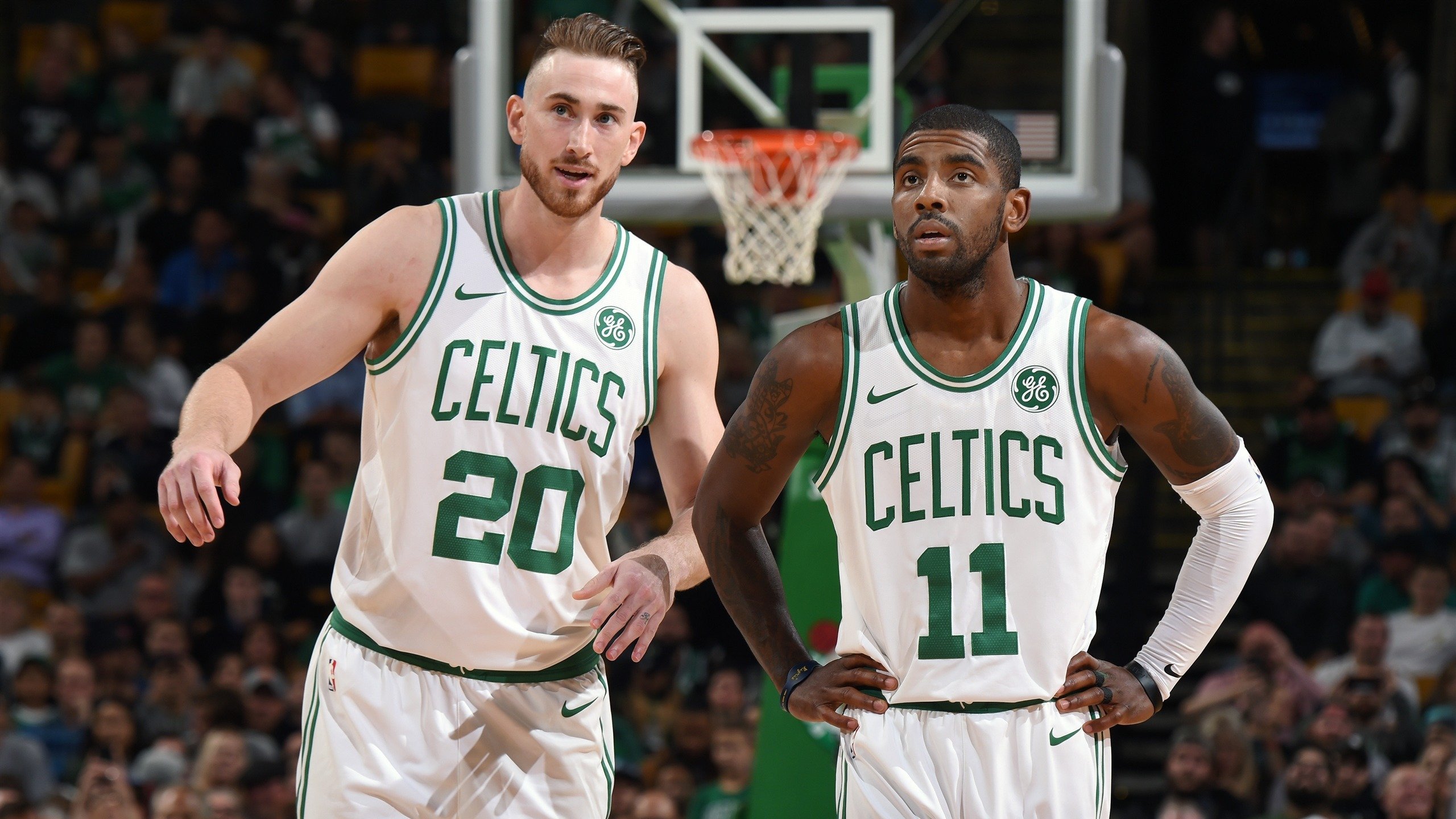 开云体育官网-2026世界杯焦点战，伊拉克碾压越南，巴雷拉领衔默契军团铸就关键胜利